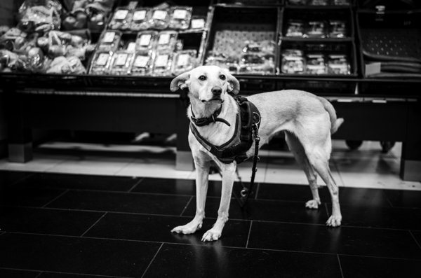 Street Photography in Berlin