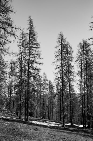 Dolomites